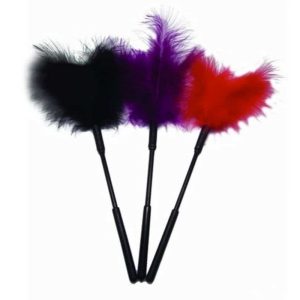 Plumas Traviesas unidad