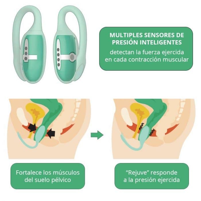 Rejuve Entrenador para Kegel con App - Imagen 6